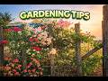 ealing Rain Sounds | Pure Relax ZonePeaceful Rain Forest #relaxing music#natural music