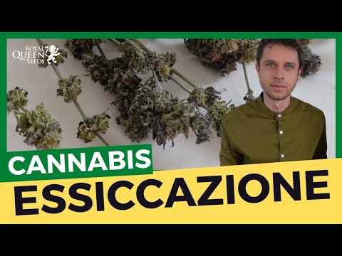 Video: Come Salare Il Triotto Per L'essiccazione?