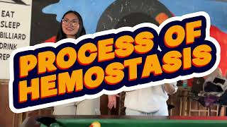 HEMATOLOGY II MUSIC VIDEO--HEMOSTASIS