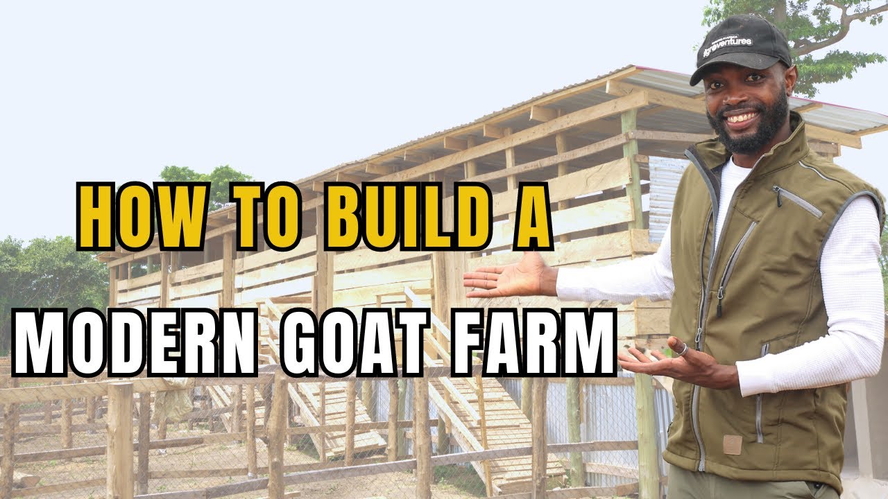 ПОЛНЫЙ ТУР ПО НОВОЙ ФЕРМЕ SEMANHYIA L&D