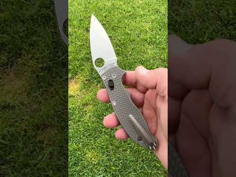 My Spyderco S110V Manix 2 knife in Rockscale Design Ti scales & LynchNW milled Ti clip