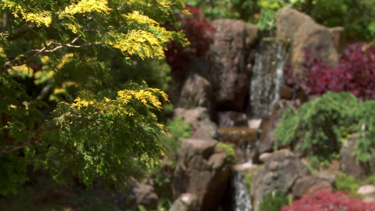 Landscape Gardeners in Guildford Surrey YouTube Landscape Gardeners in Guildford Surrey YouTube