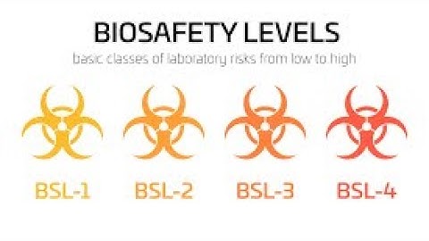 Biosafety Lab Levels.