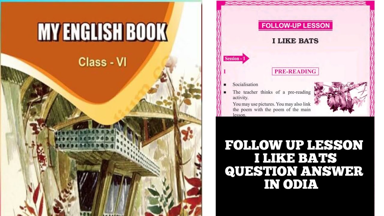 I like bats poem question answer in odia class 6 I like bats poem