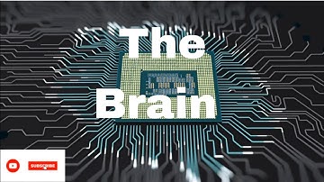 The Brains Behind Modern Technology: How Microprocessors work