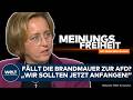 CDU UND AFD: Brandmauer verhindert Reformen?! Experten fordern Debatte I MEINUNGSFREIHEIT
