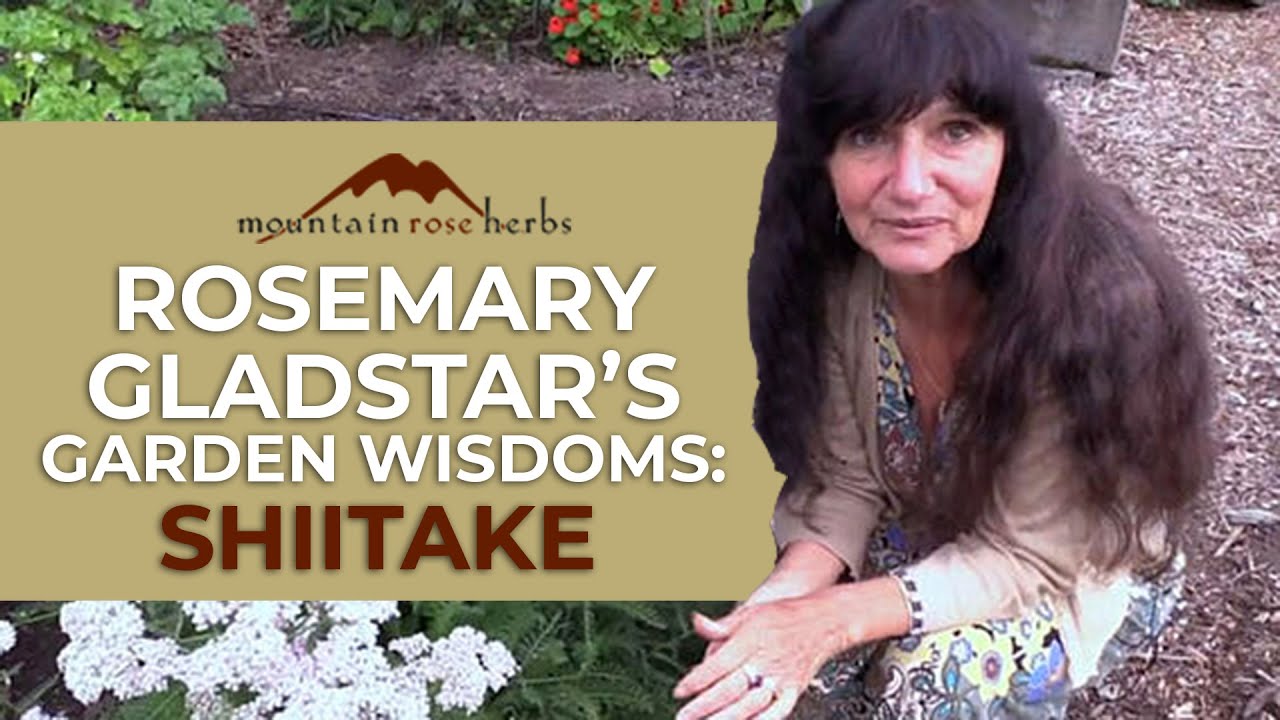 Rosemary Gladstar's Garden Wisdoms Shiitake Mushrooms YouTube