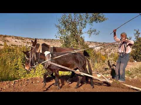 Halil YILDIRIM - Emirdağ'a Vardım Sabaha Karşı