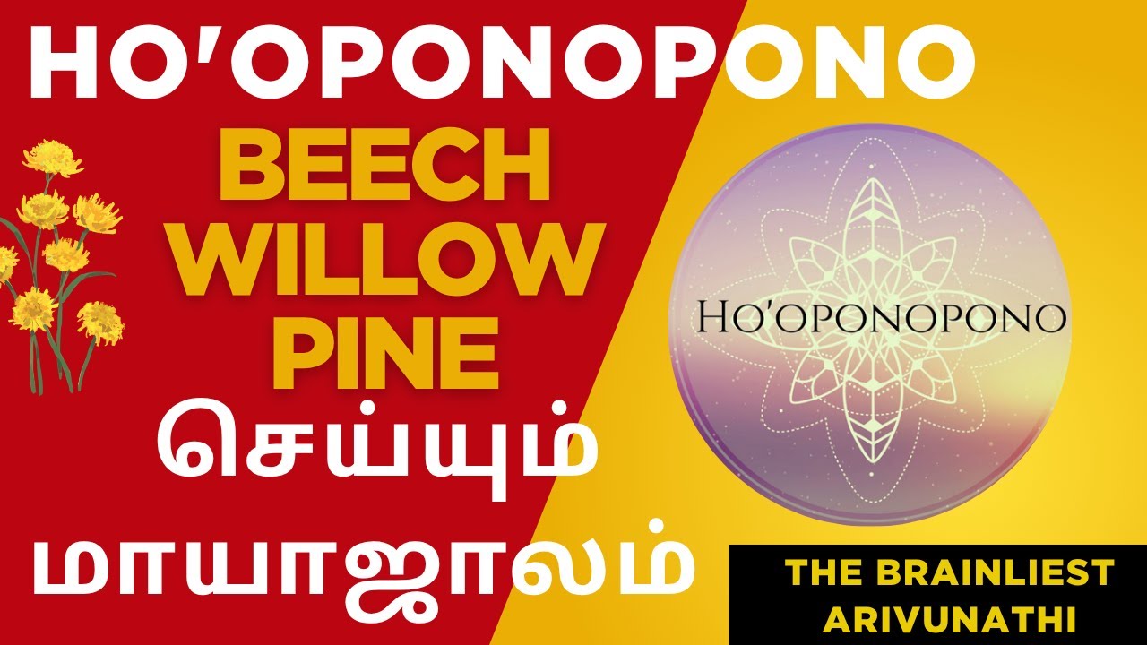 BEECH  WILLOW  PINE | Ho'oponopono  | செய்யும் மாயாஜாலம் | 4.8.2025 #thebrainliest #malarmaruthuvam