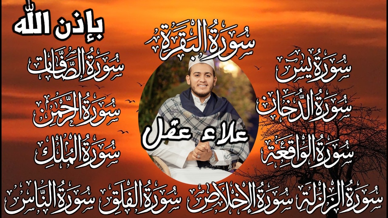 رقية البيت بإذن الله   البقرة يس الصافات الدخان الرحمن الواقعة الملك الزلزلة والمعوذات   علاء عقل