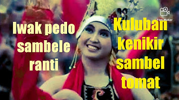 Story WA kekinian Bahasa Osing Banyuwangi cover sisane bajing
