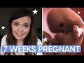 7 weeks pregnant what you need to know  channel mum