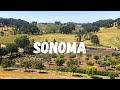 48 hours in sonoma wine country  sonoma travel guide