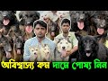 Black German Shepherd Dog Kennel in Sehakhala. Dog Market Kolkata. Kolkata Dog Market.