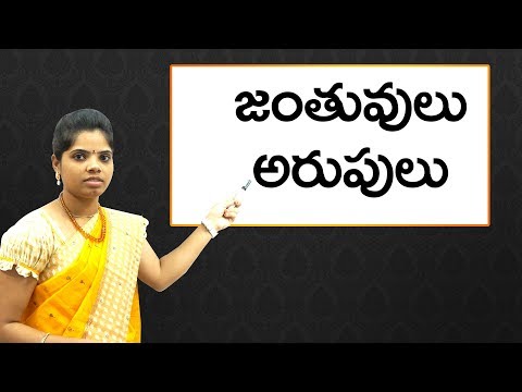 జంతువుల అరుపులు : Animal sounds in telugu : Telugu learning for all