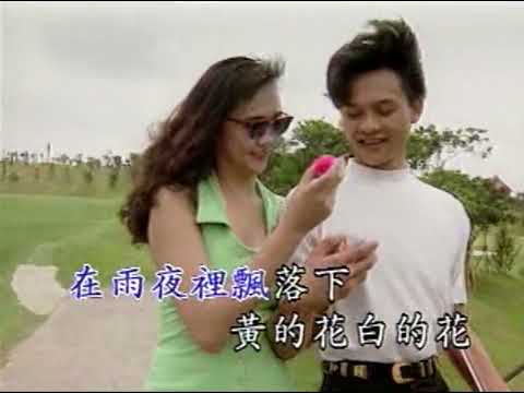 [KTV] 青山 - 淚的小花 Lei De Xiao Hua [純伴奏] 『在雨夜裡飄落下 黃的花白的花』