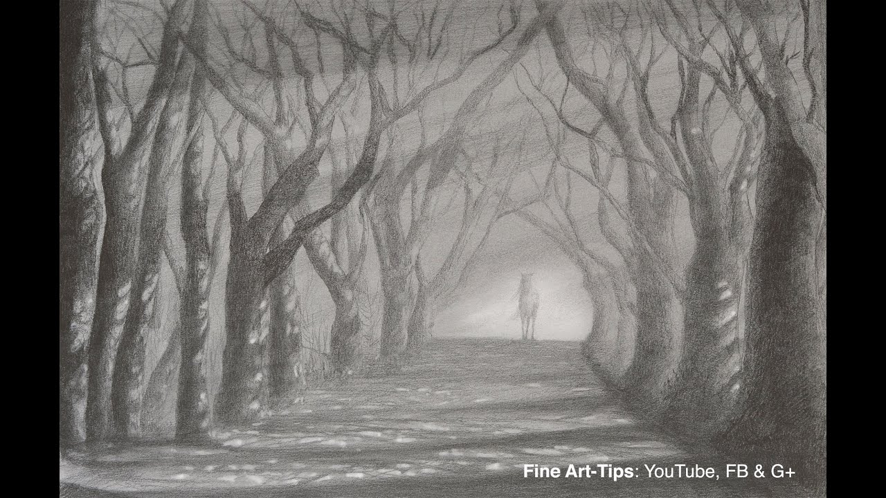 How To Draw A Road With Trees Light And Shadow Path With Pencil Youtube