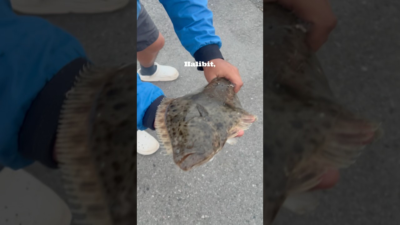 Bay Area 2 piece! 🎣🤙🏽 