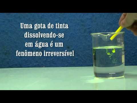 Fenomenos reversiveis e irreversiveis