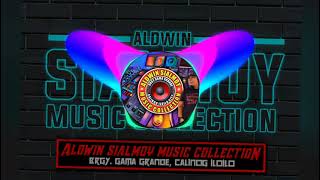 Nonstop disco remix vol3 : aldwin Sialmoy music collection ( dj Vincent)