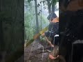 Transforming Ancient Oak Roots into a Cozy Shelter