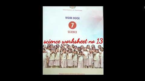 7th standard science worksheet no 13 bridge course 2021