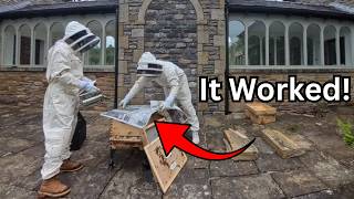 Saving a Queenless Hive with the Newspaper Method