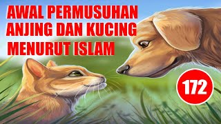 KISAH AWAL PERMUSUHAN ANJING DAN KUCING  - HUMOR SUFI