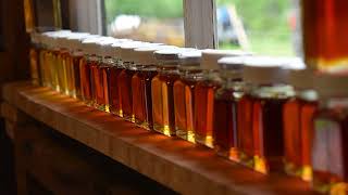 Maple Minute: Syrup Quality Density