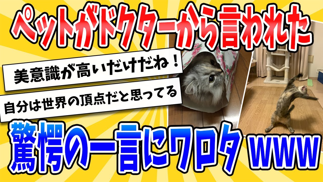 【総集編】ペットがドクターから言われた驚愕の一言【2ch面白いスレ】