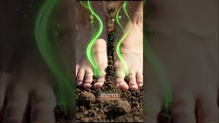 Benefits of Walking Barefoot #Earthing #HealthTips #NaturalHealing #Wellness
