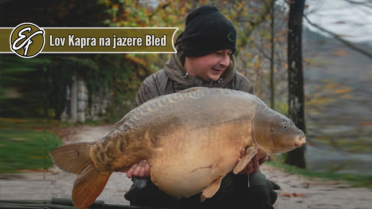 Lov Kapra na jazere Bled - November CarpFishing on lake Bled