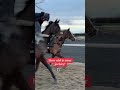 12 year old Jake Cromwell has one horse to ride before school every day! #jockey #horseracing