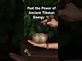 Tibetan Meditation,Deep Healing Vibration #TibetanMeditation #HealingVibes #MeditationMusic #shorts