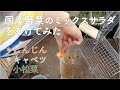 国産野菜のミックスサラダをあげてみた（デグーとの暮らし）degu