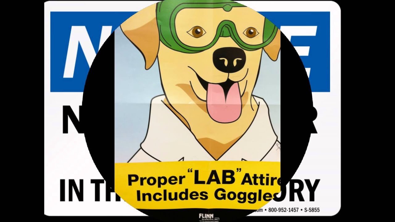 Lab Safety Rules YouTube