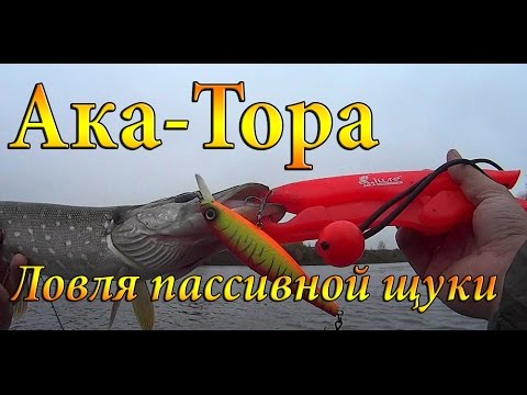 ловля мега щуки