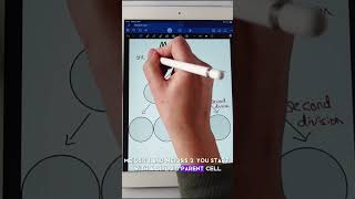 Download Lagu Meiosis overview for A-level Biology  #biologynotes #meiosis #alevelbiology MP3