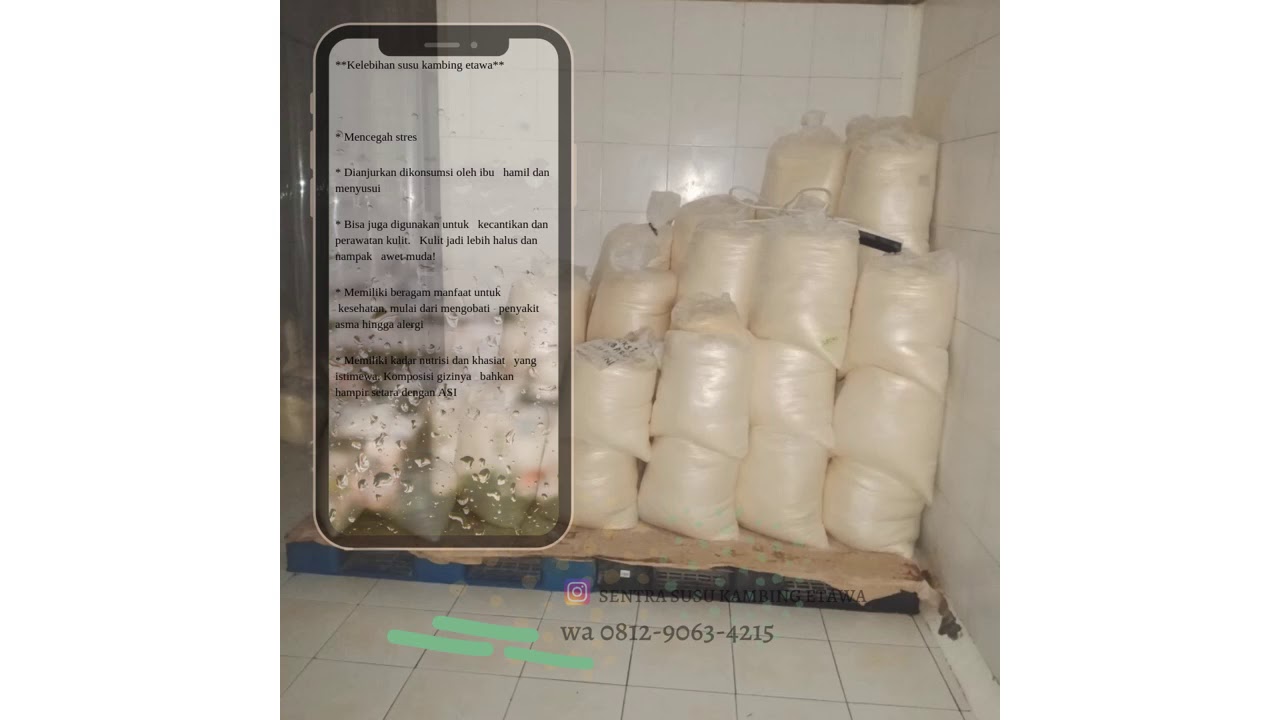 Manfaat Susu Kambing Etawa 0812 9063 4215 