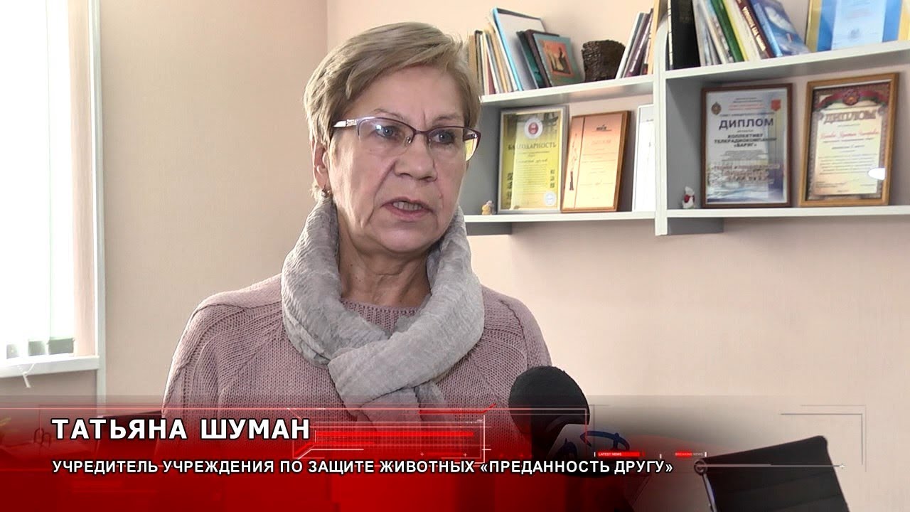 Долг за ветуслуги более 4 000 рублей: пинские зоозащитники обращаются ...