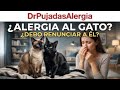 Alergia al gato: la verdad sobre el pelo y cómo convivir con tu mascota sin renunciar a ella