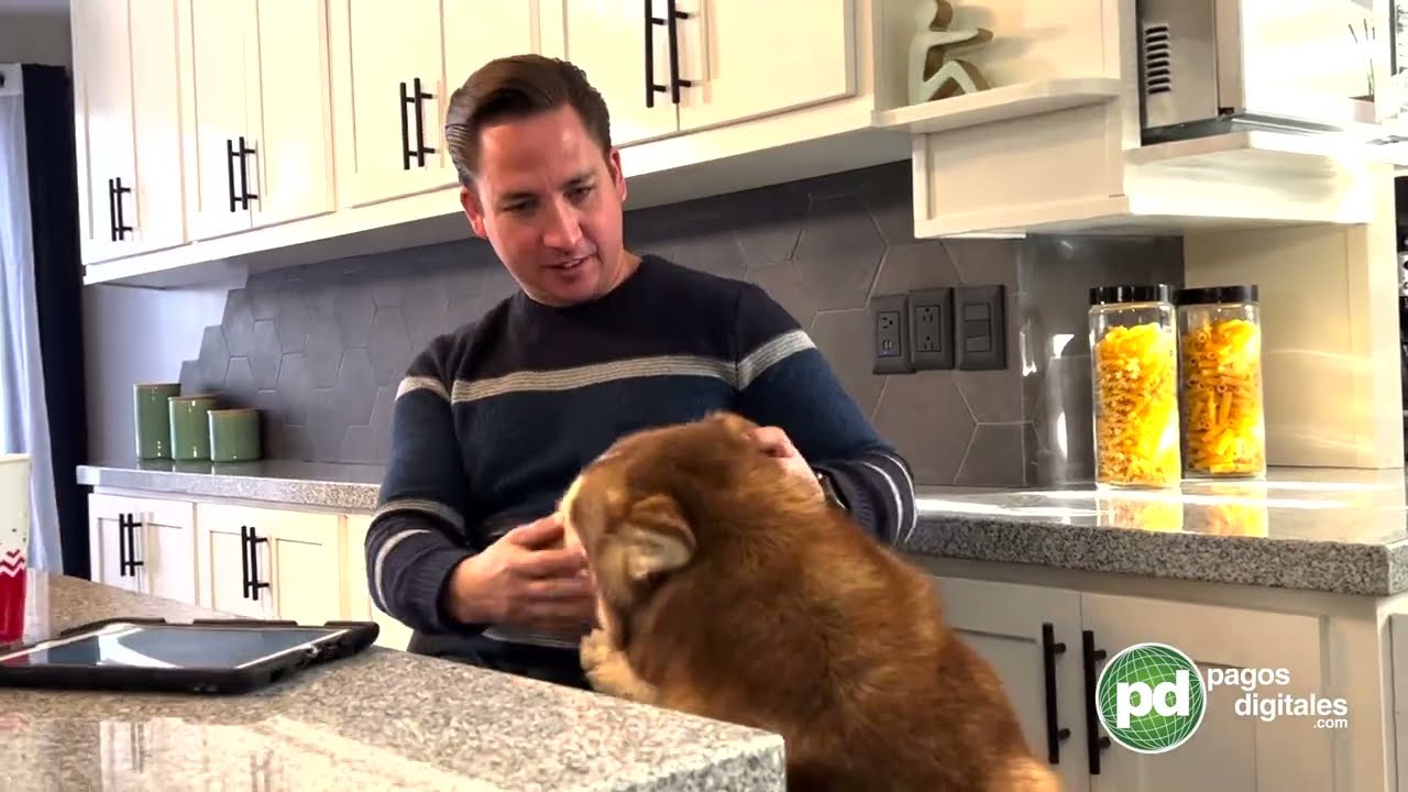 Pagos Digitales - App para pagar servicios en línea