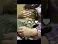 野良猫を保護して3ヶ月…止まらない夜泣きはこうなりました #shorts #野良猫 #夜泣き