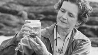 Rachel Carson: A Not So Silent Activist (National History Day Documentary 2017)