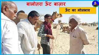 ऊँट का मोलभाव Balotra Camel Fair 2022 तिलवाड़ा बालोतरा ऊँट बाज़ार Camel Market In India Video