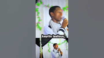 Abdunnaasir Haashim Nashiidaa Bareedduu Boqonnaan Jiruu Beeki Dargaggoo Sher 