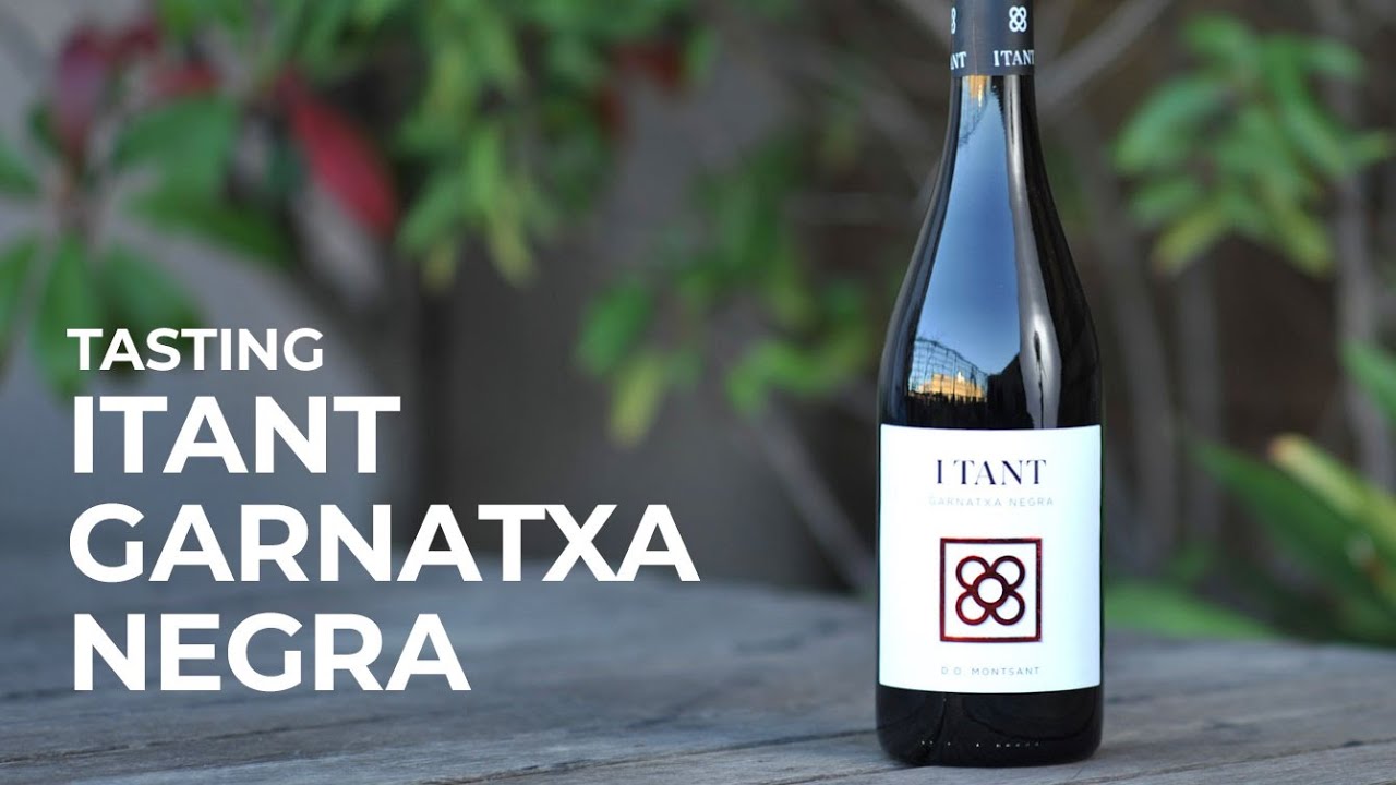 Tasting  I Tant Garnatxa Negra