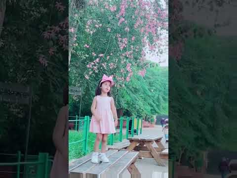 ام الخدود تفاح