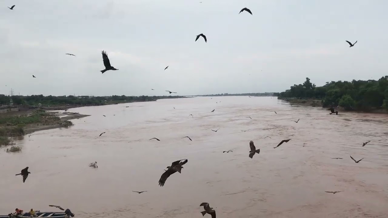 Ravi River Current Flood Status | Ravi River Lahore