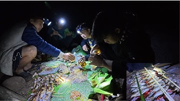 Hành trình săn thủy quái trên thượng nguồn rừng rậm hoang dã & nấu ăn xuyên đêm | Nhiệt Đới Vlog